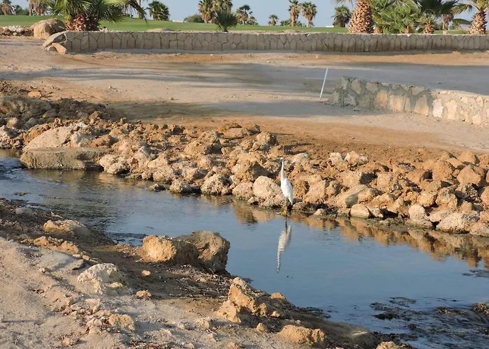 Golf, & Sea - Serene Garden Patio Getaway Apartment Hurghada